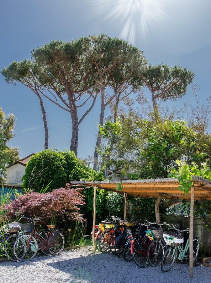 B&B Due Passi Dal Mare Cinquale Exteriör bild